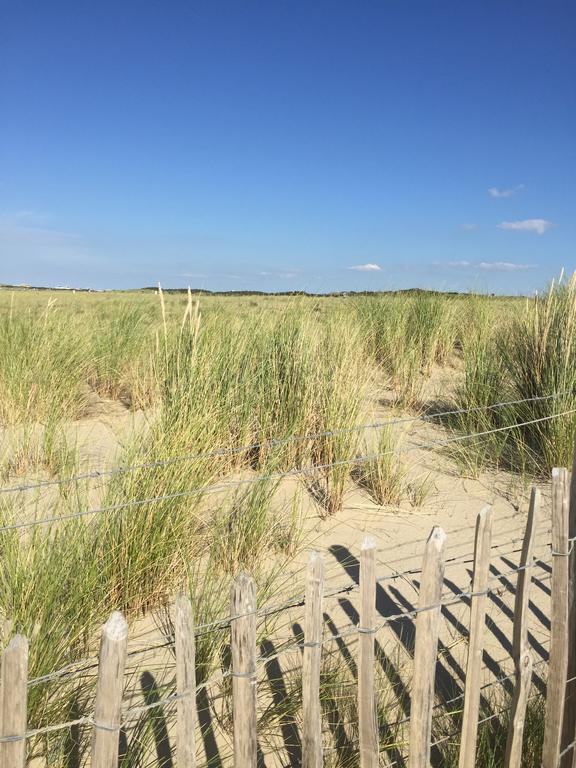 Haags Duinhuis - Familyfriendly Holidayhome Eksteriør billede